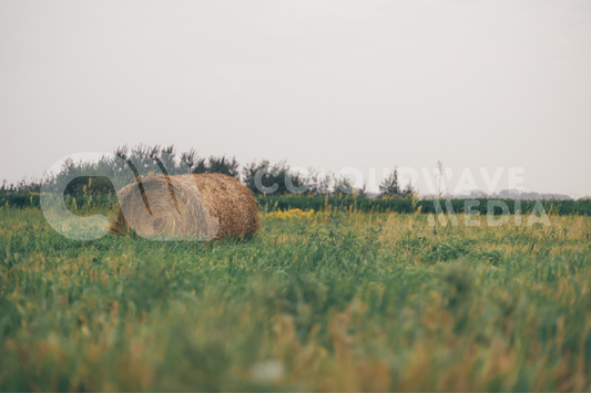 Hay Bale Print (Wide)