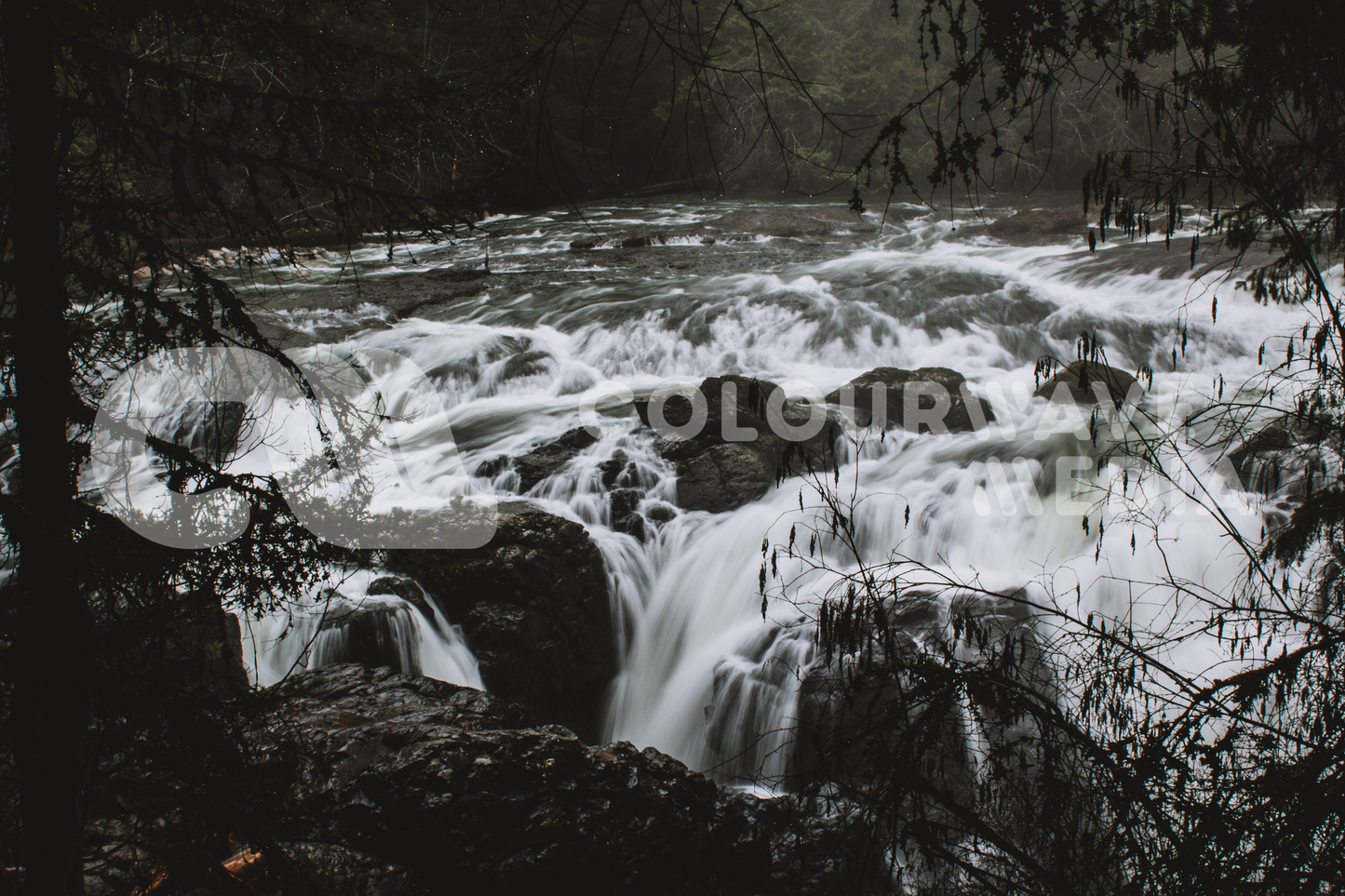 Flowing Stream Print